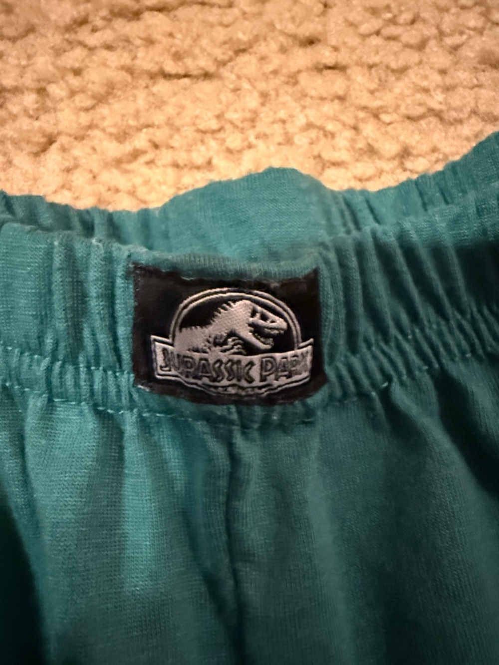 Jurassic Park Boys' Teal & Brown Dino Pajama Set - Picture 7 of 7